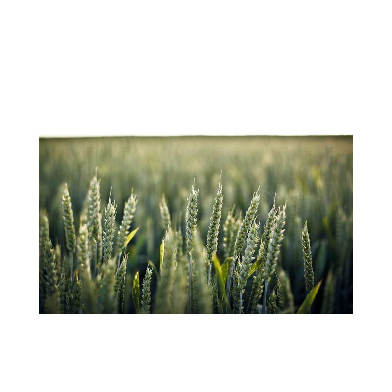 Awesome Steel Clock fr-FR